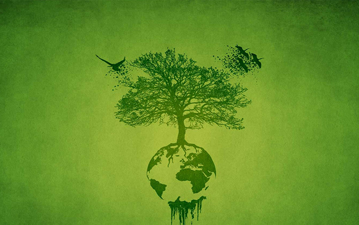 Environmental Protection Concept